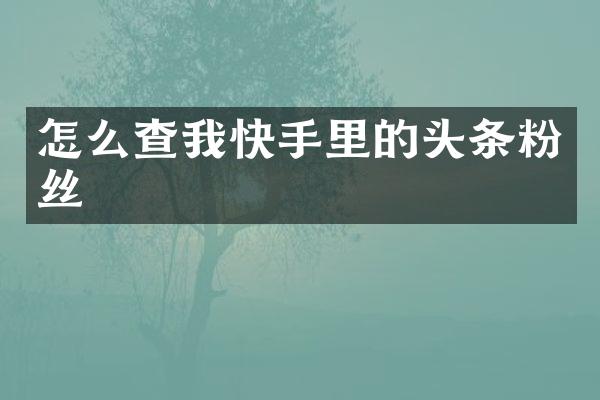 怎么查我快手里的头条粉丝
