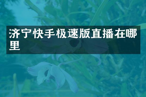 济宁快手极速版直播在哪里
