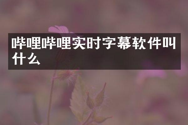 哔哩哔哩实时字幕软件叫什么