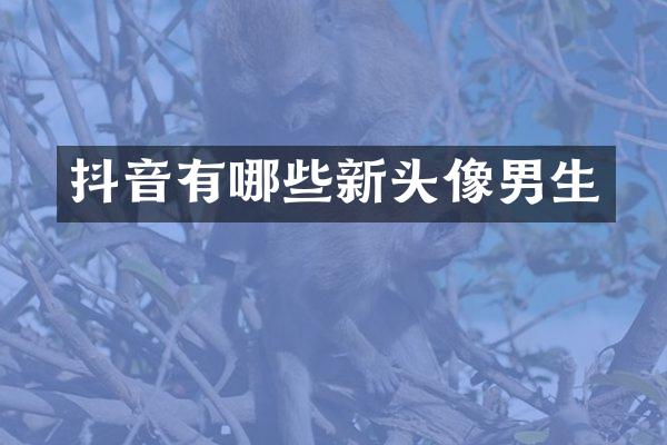 抖音有哪些新头像男生