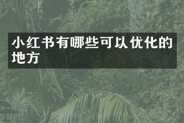小红书有哪些可以优化的地方