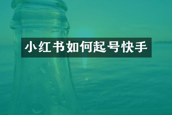 小红书如何起号快手