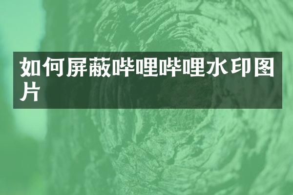 如何屏蔽哔哩哔哩水印图片