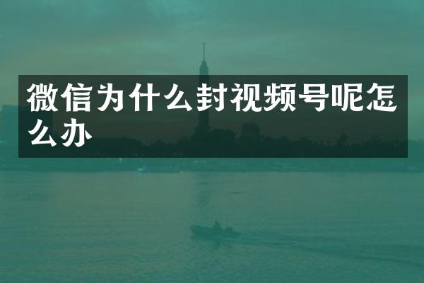 微信为什么封视频号呢怎么办