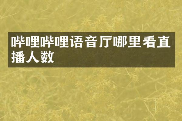 哔哩哔哩语音厅哪里看直播人数