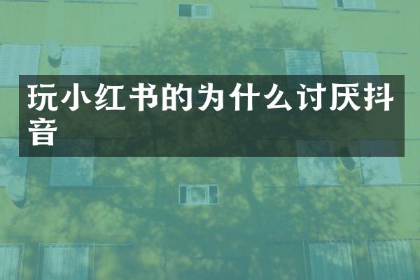 玩小红书的为什么讨厌抖音