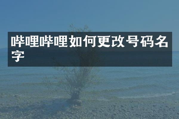 哔哩哔哩如何更码名字