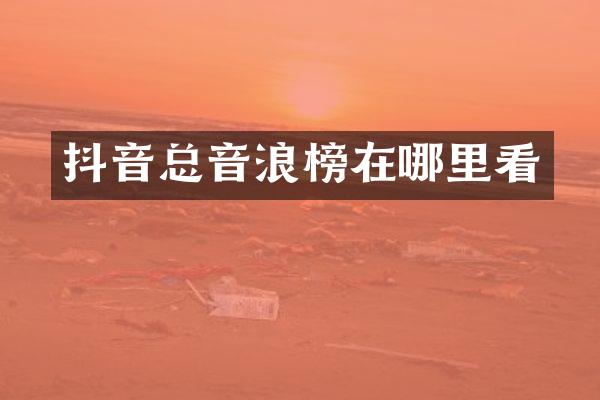 抖音总音浪榜在哪里看