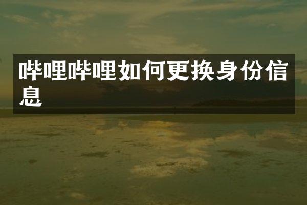 哔哩哔哩如何更换身份信息