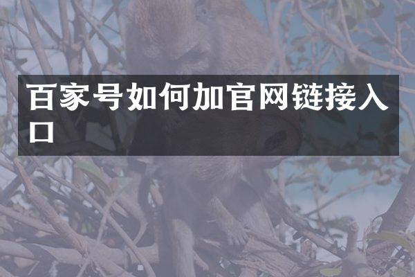 百家号如何加官网链接入口