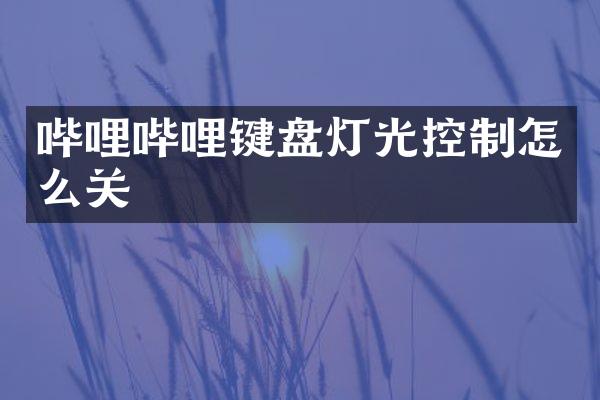 哔哩哔哩键盘灯光控制怎么关