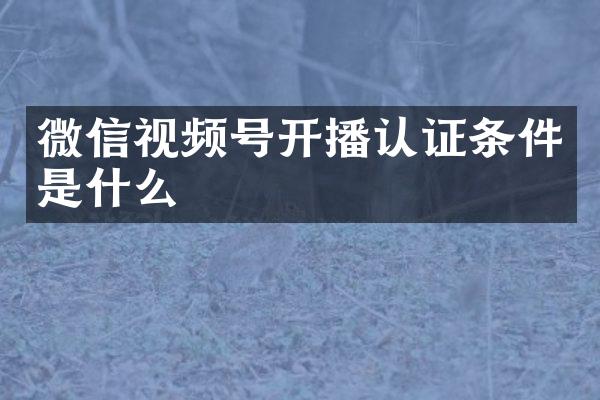 微信视频号开播认证条件是什么