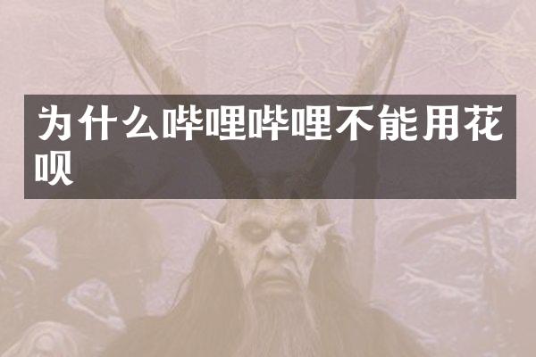 为什么哔哩哔哩不能用