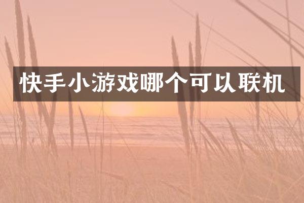 快手小游戏哪个可以联机