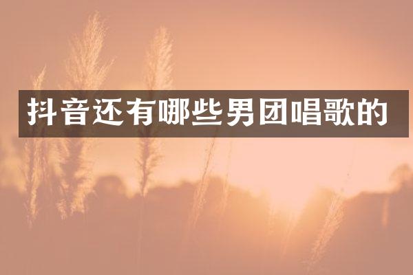 抖音还有哪些男团唱歌的