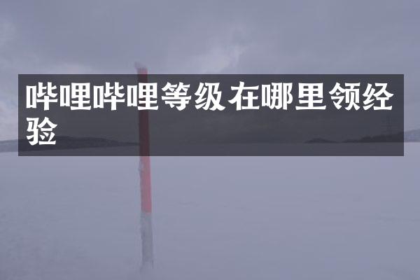 哔哩哔哩等级在哪里领经验
