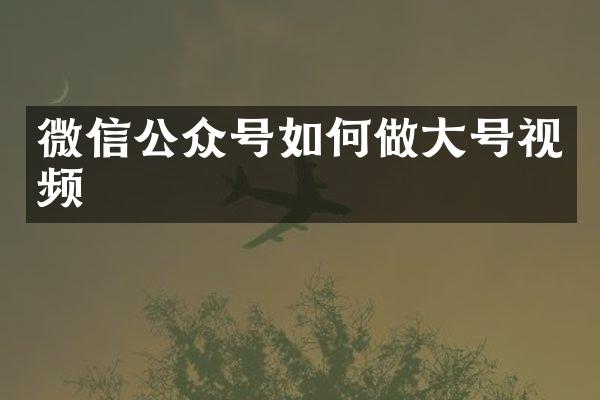 微信公众号如何做大号视频