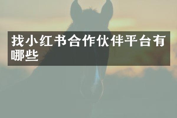 红书合作伙伴平台有哪些