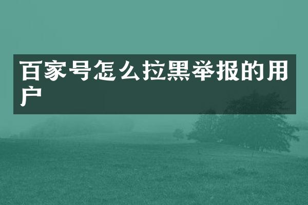 百家号怎么拉黑举报的用户
