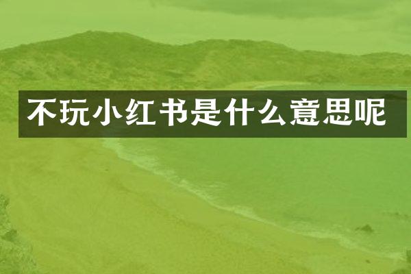 不玩小红书是什么意思呢