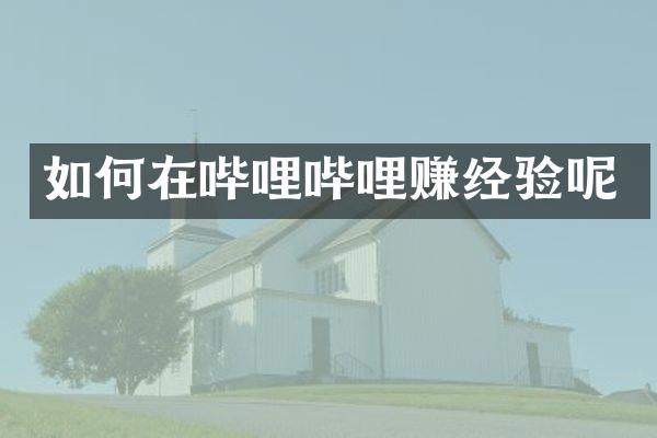 如何在哔哩哔哩赚经验呢