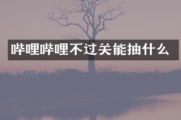 哔哩哔哩不过关能抽什么
