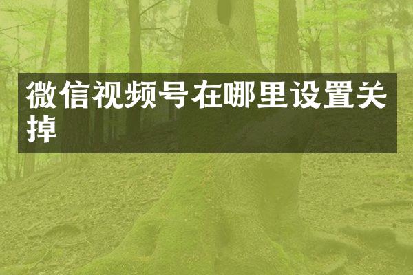 微信视频号在哪里设置关掉