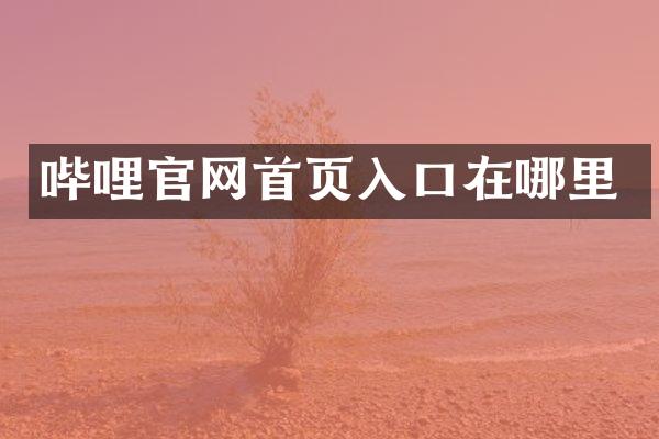 哔哩官网首页入口在哪里