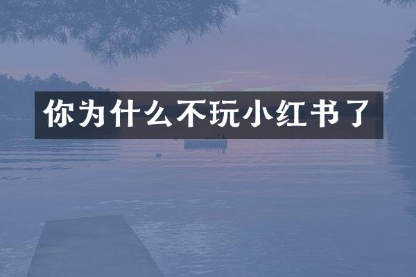你为什么不玩小红书了