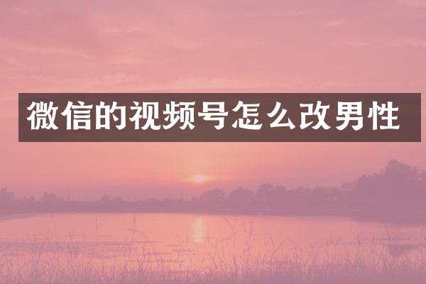 微信的视频号怎么改男性
