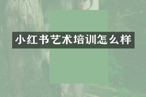 小红书艺术培训怎么样