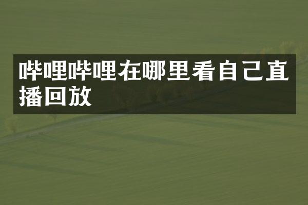 哔哩哔哩在哪里看自己直播回放