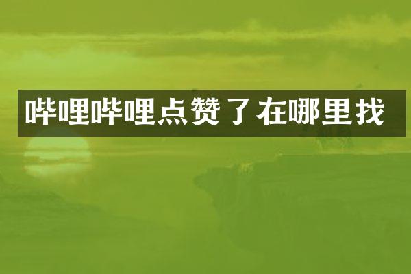 哔哩哔哩点赞了在哪里找