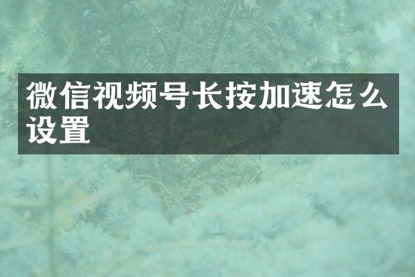 微信视频号长按加速怎么设置