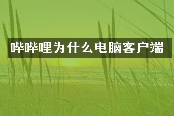 哔哔哩为什么电脑客户端