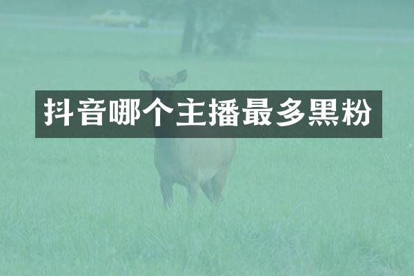 抖音哪个主播最多黑粉