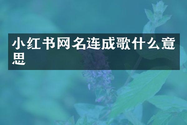 小红书网名连成歌什么意思