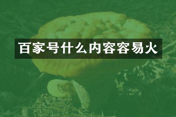 百家号什么内容容易火