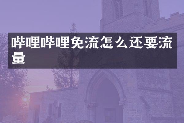 哔哩哔哩免流怎么还要流量