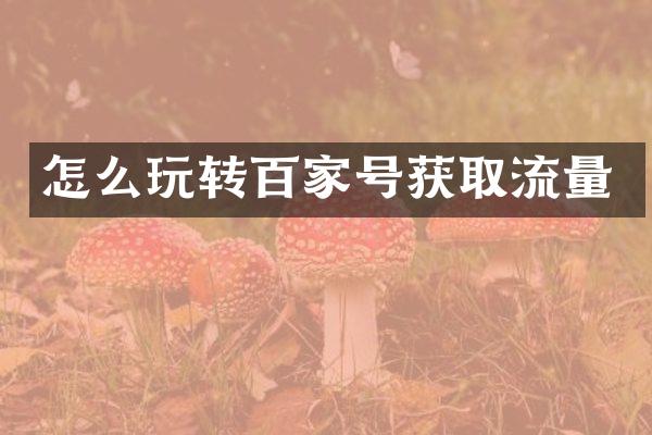 怎么玩转百家号获取流量