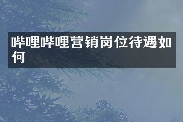 哔哩哔哩营销岗位待遇如何