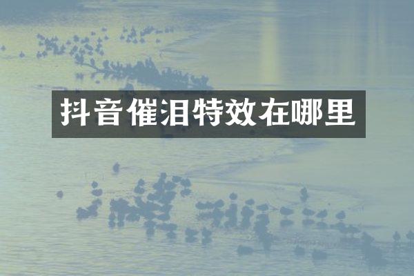 抖音催泪特效在哪里