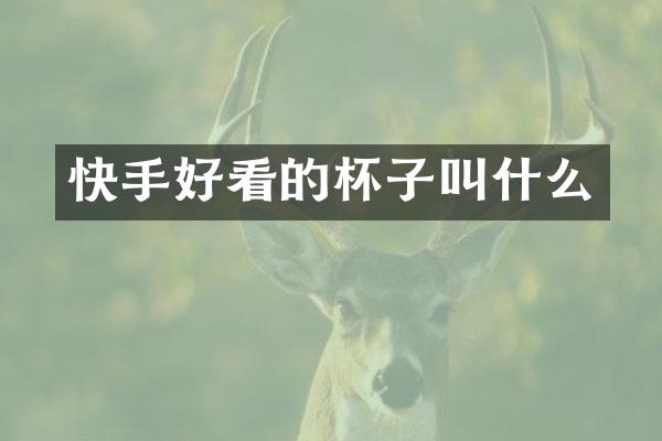 快手好看的杯子叫什么