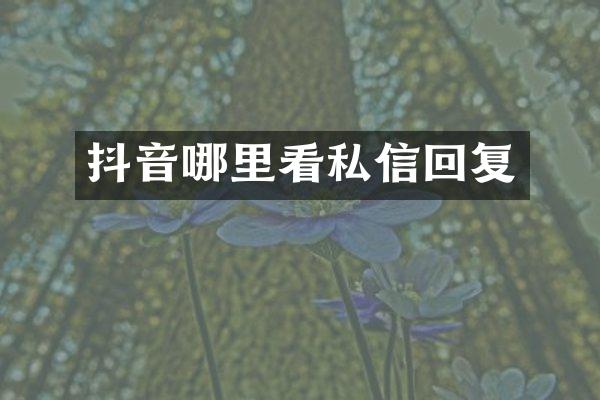 抖音哪里看私信回复