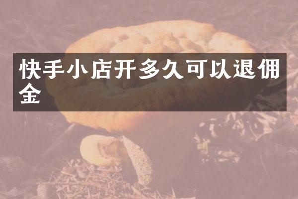 快手小店开多久可以退佣金