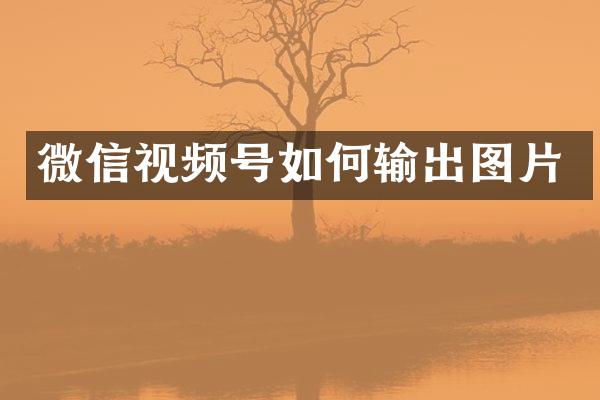 微信视频号如何输出图片