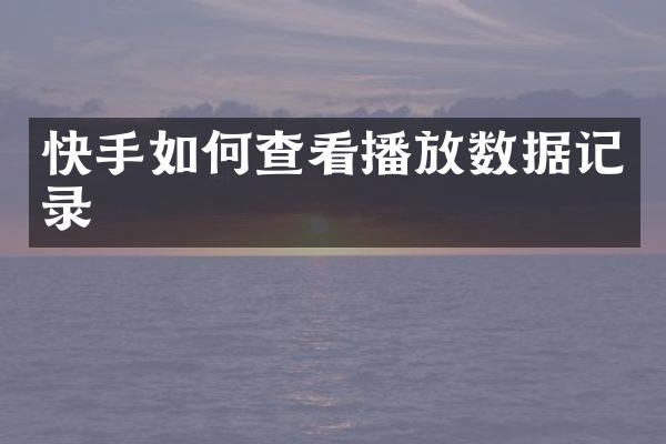 快手如何查看播放数据记录