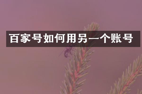 百家号如何用另一个账号