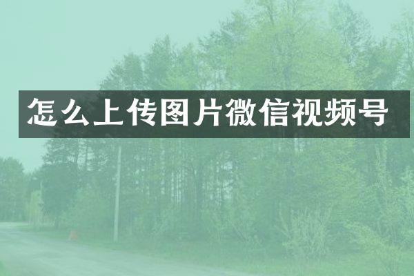怎么上传图片微信视频号