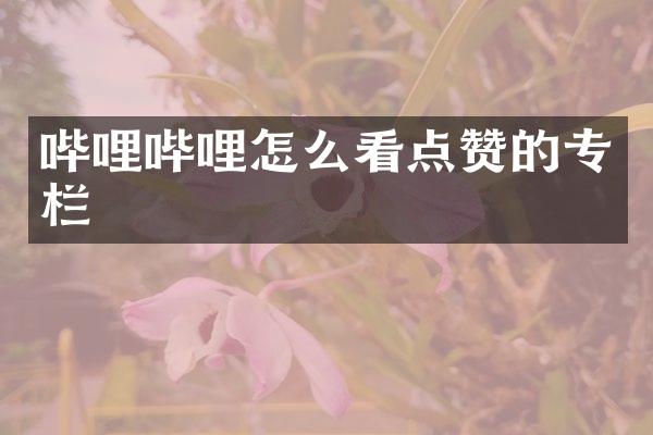 哔哩哔哩怎么看点赞的专栏